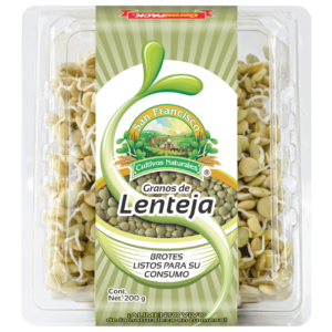 Brotes granos de lenteja