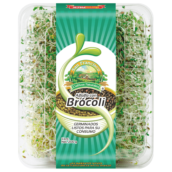 Germinado de alfalfa con brócoli