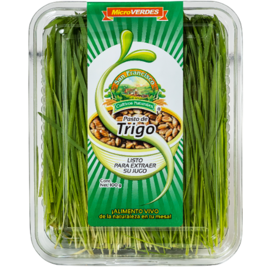 Germinado de alfalfa con kale