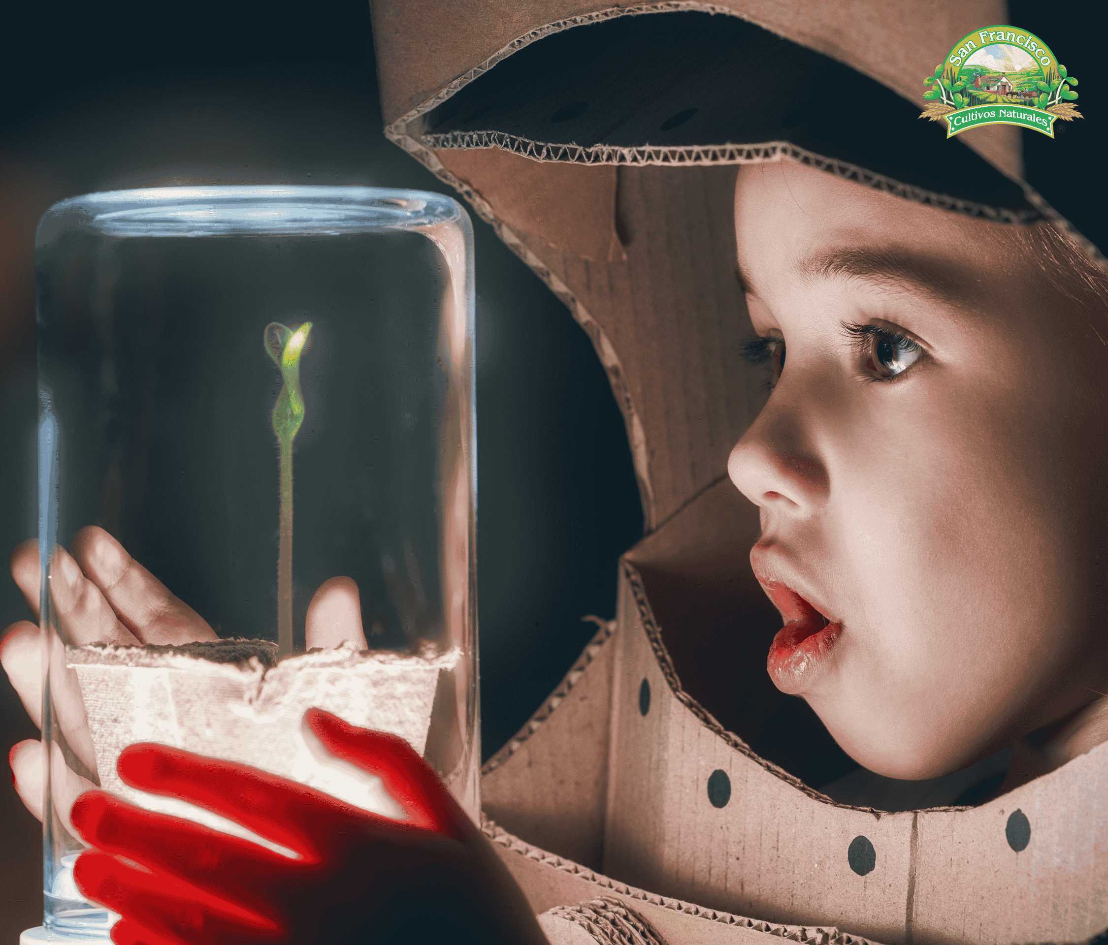 Sin título (2250 x 1920 px)-2