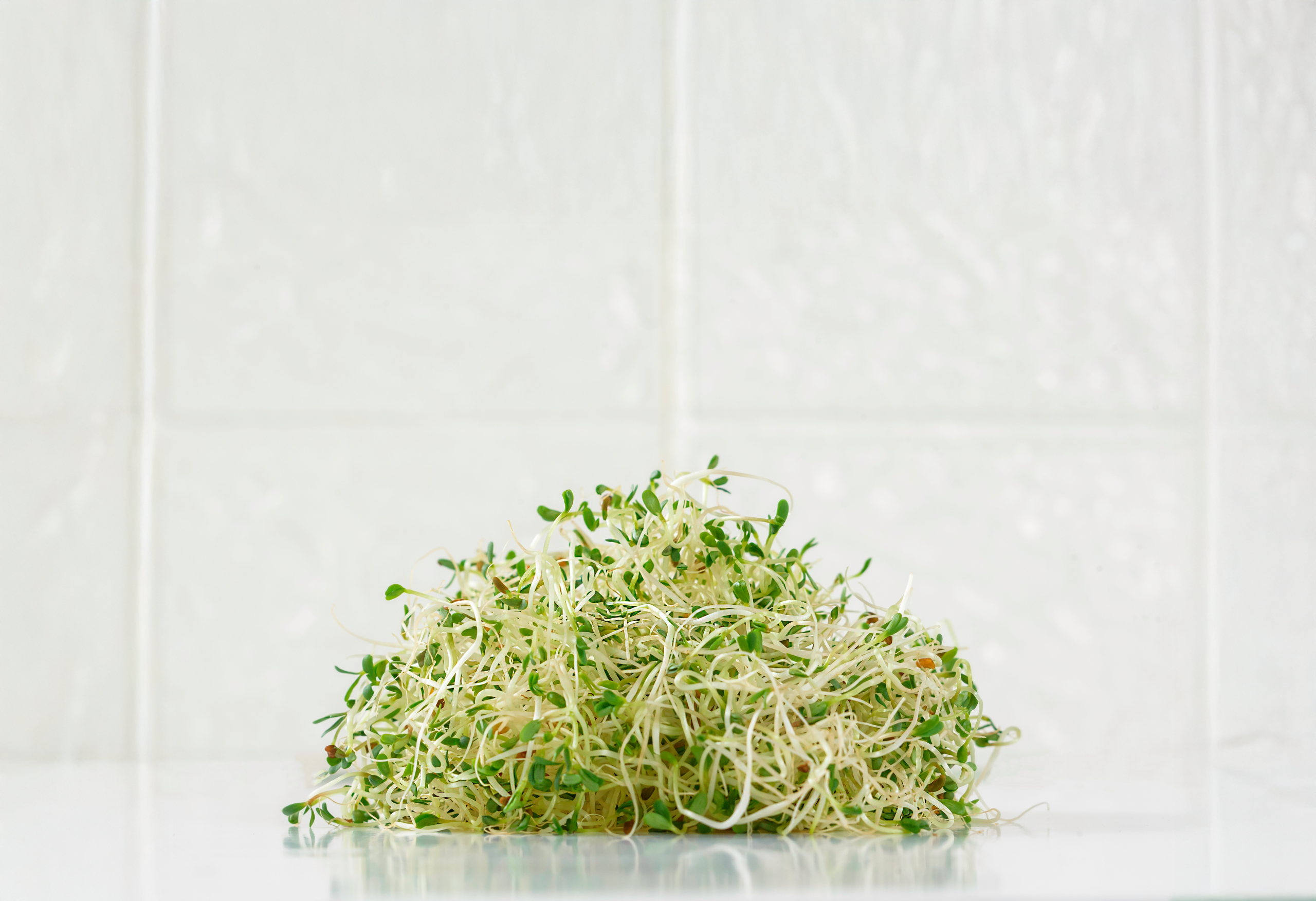 ¡Germinados, un alimento vivo que te sorprenderá!