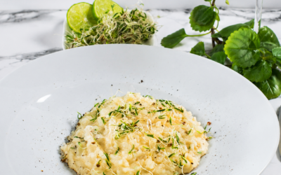 RISSOTTO CREMOSO CON GERMINADO DE CILANTRO GOURMET